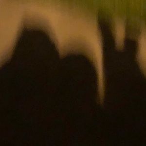 Meet your Posher, Jayden